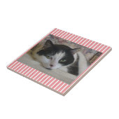 Kat Striped keramische Tegel Tegeltje (Zijkant)