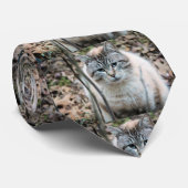 Kat Stropdas (Opgerold)