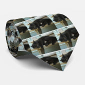 Kat Stropdas (Opgerold)