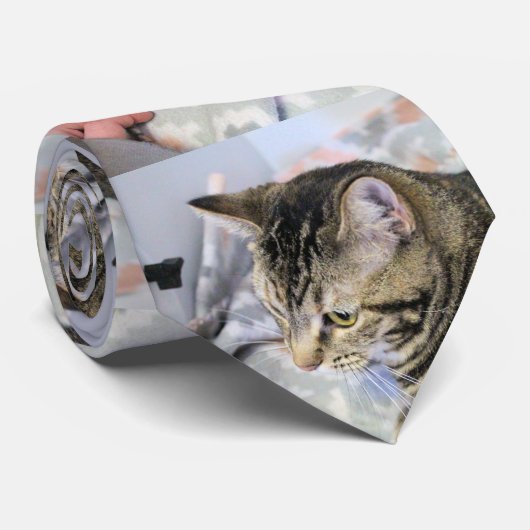 Kat Stropdas (Opgerold)