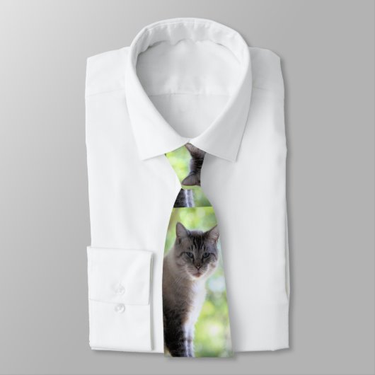 Kat Stropdas (Gebonden)