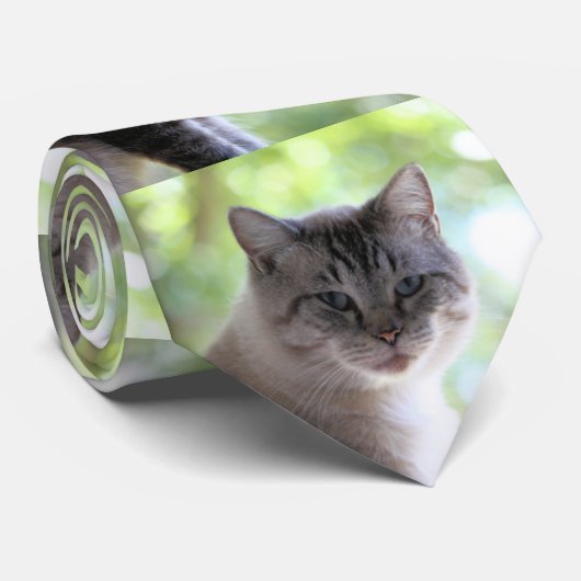 Kat Stropdas (Opgerold)