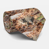 Kat Stropdas (Opgerold)