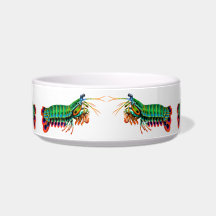Kat Sushi Mantis Shrimp Cat Bowl