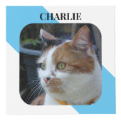 Kat Sympathie Keepsake Pet Memorial blauwe foto Kubus (Voorkant)