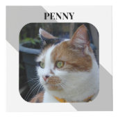 Kat Sympathie Keepsake Pet Memorial grijze foto Kubus (Voorkant)