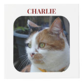 Kat Sympathie Keepsake Pet Memorial kastanjebruin  Kubus (Voorkant)