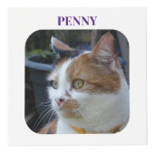 Kat Sympathie Keepsake Pet Memorial paarse foto Kubus (Voorkant)