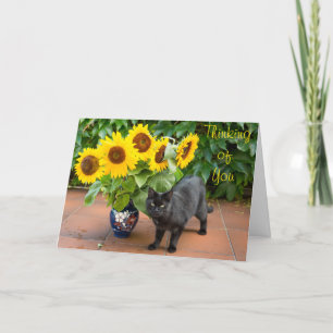 Kat sympathie voor zonnebloemen kaart