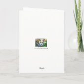 Kat Sympathikaart, Angel Kat, Kat- verlies Kaart (Achterkant)