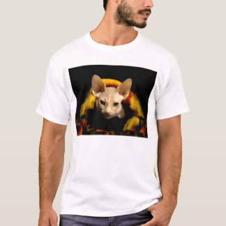 Kat t-shirt zonder sphynx