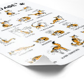 Kat-taal, grappige kat Kitten, liefdeskat-cadeauid Foto Afdruk (Hoek)