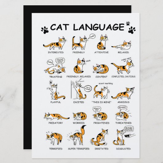 Kat-taal, grappige kat Kitten, liefdeskat-cadeauid Menu (Voorkant / Achterkant)