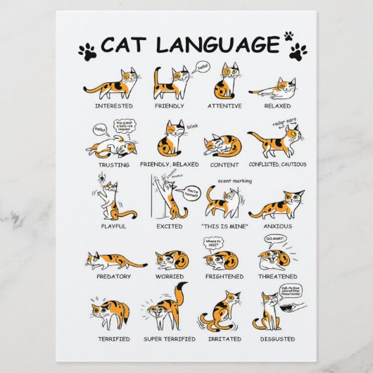 Kat-taal, grappige kat Kitten, liefdeskat-cadeauid Menu (Voorkant)