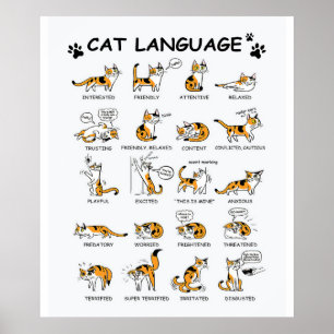 Kat-taal, grappige kat Kitten, liefdeskat-cadeauid Poster