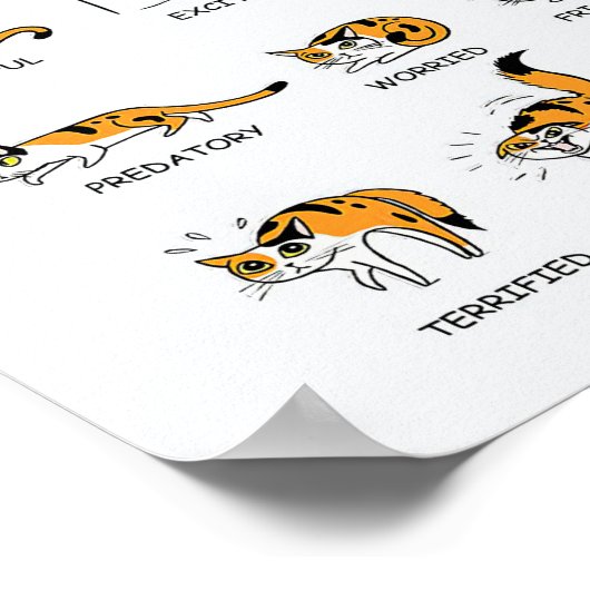 Kat-taal, grappige kat Kitten, liefdeskat-cadeauid Poster (Hoek)