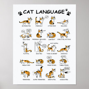 Kat-taal, grappige kat Kitten, liefdeskat-cadeauid Poster