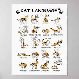 Kat-taal, grappige kat Kitten, liefdeskat-cadeauid Poster