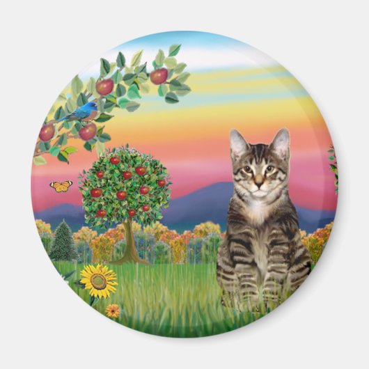 Kat (Tabby1) - Helder land Magneet (Voorkant)