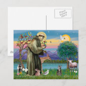 Kat (Tabby 2) - Sint Franciscus Briefkaart (Voorkant / Achterkant)