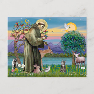 Kat (Tabby 2) - Sint Franciscus Briefkaart