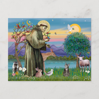 Kat (Tabby 2) - Sint Franciscus Briefkaart