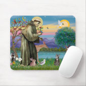 Kat (Tabby 2) - Sint Franciscus Muismat (Met muis)