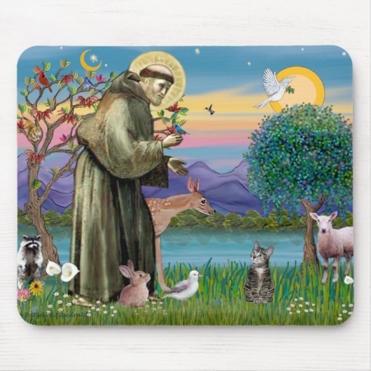 Kat (Tabby 2) - Sint Franciscus Muismat (Voorkant)