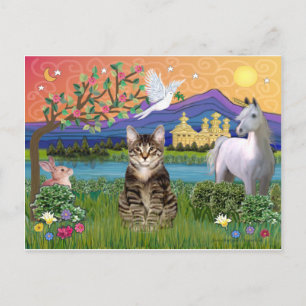 Kat -(Tabby) - Fantasieland Briefkaart