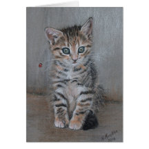 Kat, tabby kitten, gewoon poseren, mooie kunst.