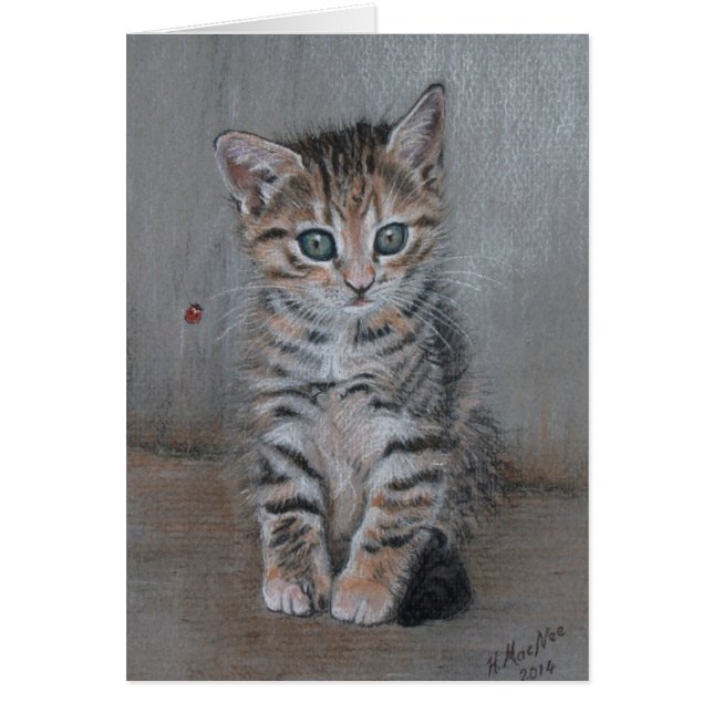 Kat, tabby kitten, gewoon poseren, mooie kunst. (Voorkant)