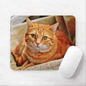 Kat, tabby, natuur muismat (Met muis)