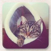 Kat tablet in Hut close-up foto Bier Onderzetter (Voorkant)