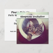 Kat tablet in Hut close-up foto Kaart (Voorkant / Achterkant)