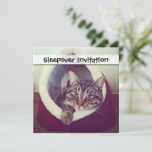 Kat tablet in Hut close-up foto Kaart (Staand voorkant)