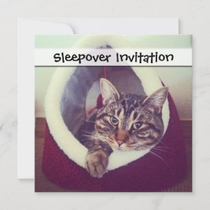 Kat tablet in Hut close-up foto Kaart