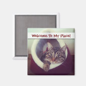 Kat tablet in Hut close-up foto Magneet (Voorkant / Achterkant)