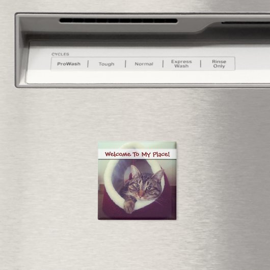 Kat tablet in Hut close-up foto Magneet (Insitu (Vaatwasser))