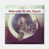 Kat tablet in Hut close-up foto Magneet (Voorkant)