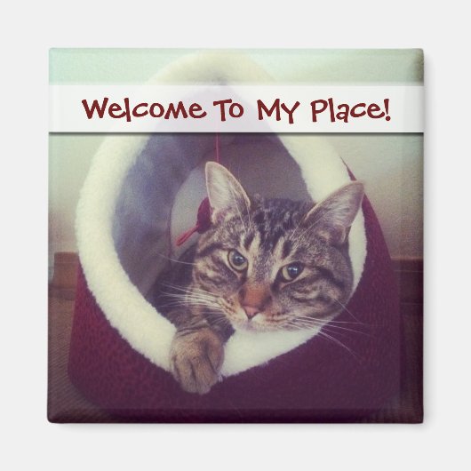 Kat tablet in Hut close-up foto Magneet (Voorkant)