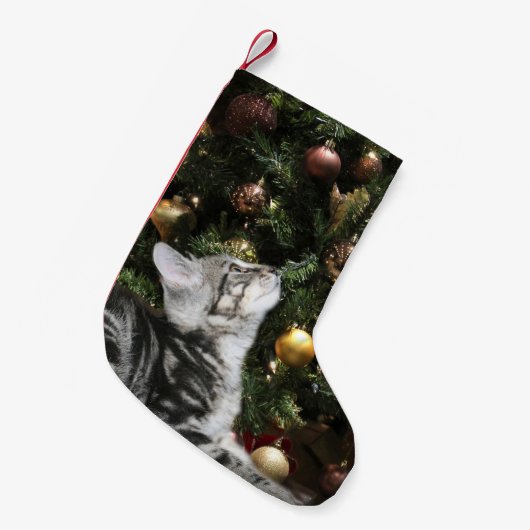 Kat tablet kleine kerstsok (Voorkant (Hangend))