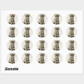 Kat tablet ronde sticker (Vel)