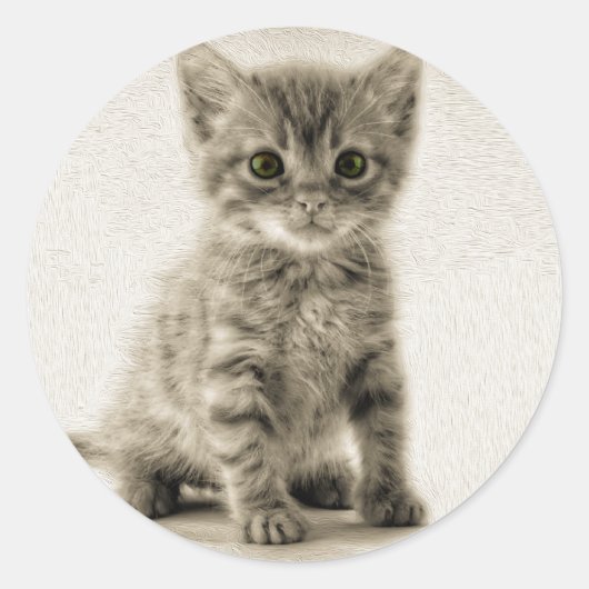 Kat tablet ronde sticker (Voorkant)