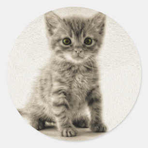 Kat tablet ronde sticker