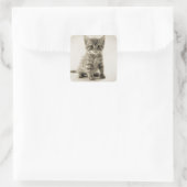 Kat tablet vierkante sticker (Tas)