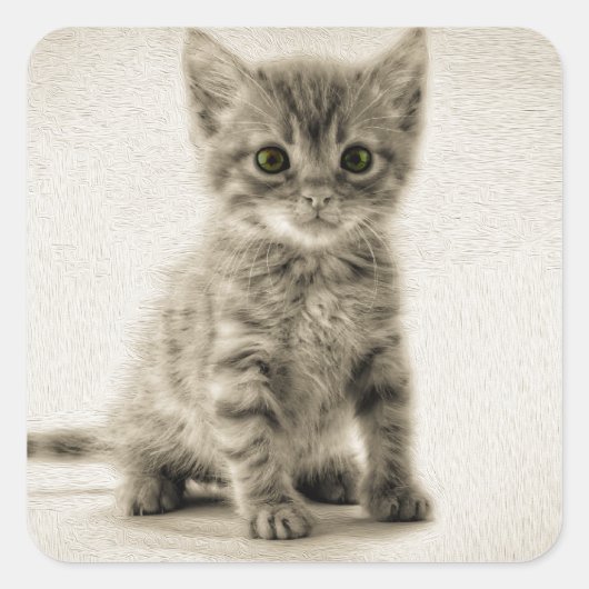 Kat tablet vierkante sticker (Voorkant)