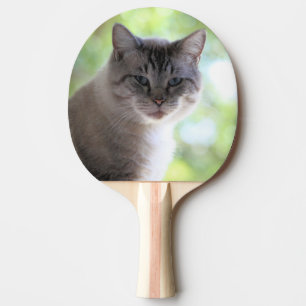 Kat Tafeltennisbatje