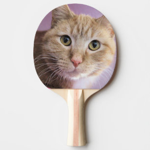 Kat Tafeltennisbatje