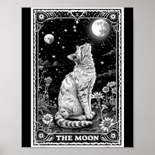 Kat Tarotkaart Hekserige Maan Hoed Halloween Zwart Poster