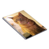 Kat Tassentas Notitieboek (Rechterzijde)